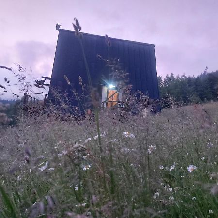 Oak House Lejlighed Palyanytsya Eksteriør billede
