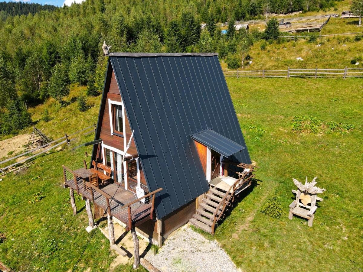 Oak House Lejlighed Palyanytsya Eksteriør billede