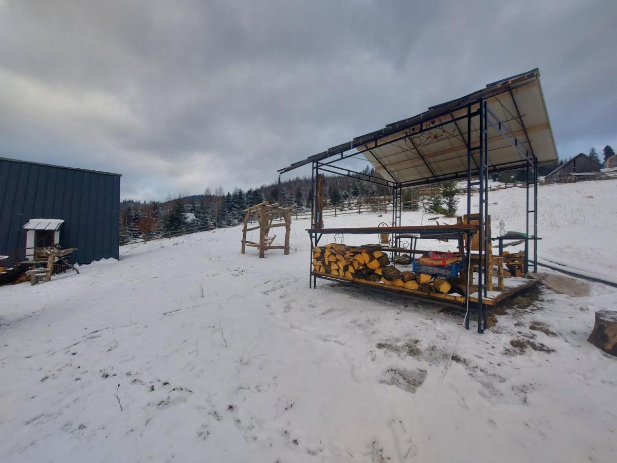 Oak House Lejlighed Palyanytsya Eksteriør billede