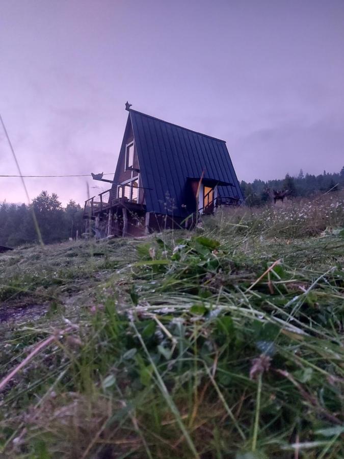 Oak House Lejlighed Palyanytsya Eksteriør billede