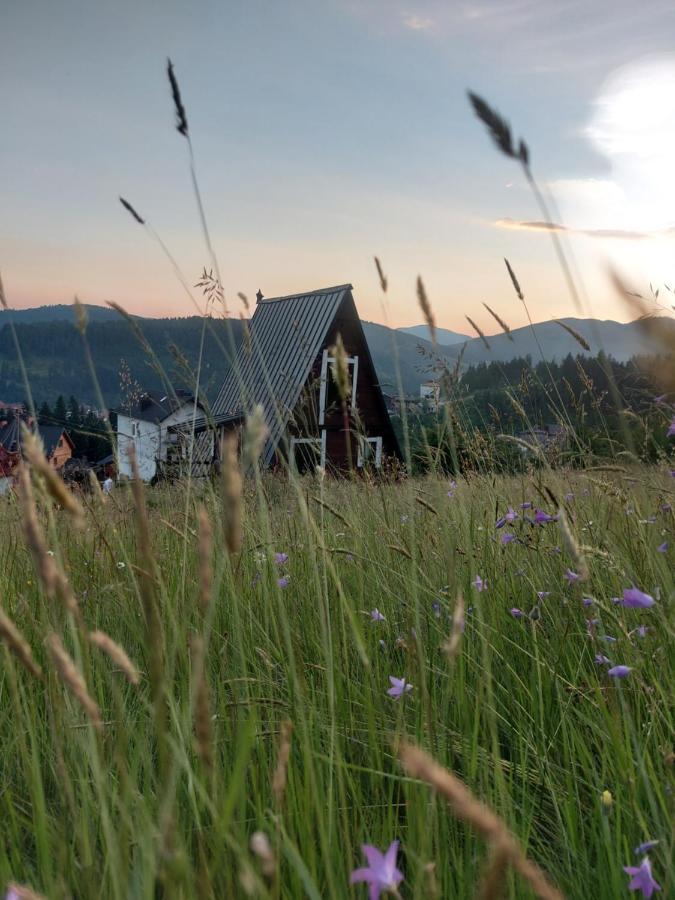 Oak House Lejlighed Palyanytsya Eksteriør billede