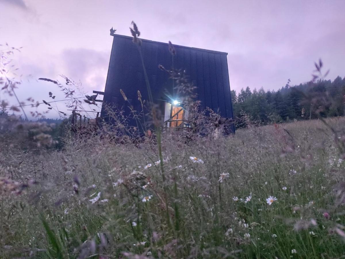 Oak House Lejlighed Palyanytsya Eksteriør billede