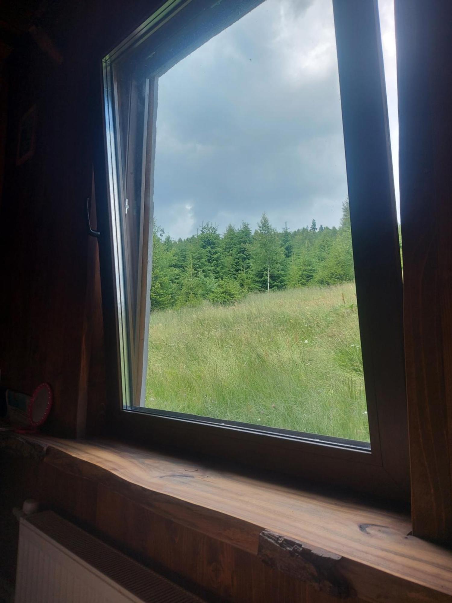Oak House Lejlighed Palyanytsya Værelse billede