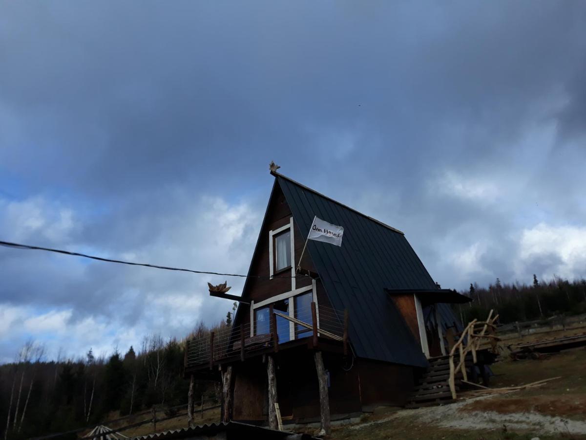Oak House Lejlighed Palyanytsya Eksteriør billede