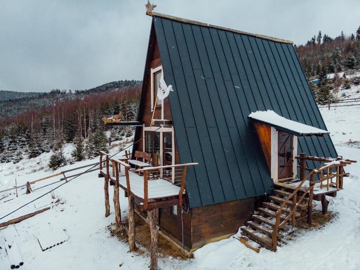 Oak House Lejlighed Palyanytsya Eksteriør billede